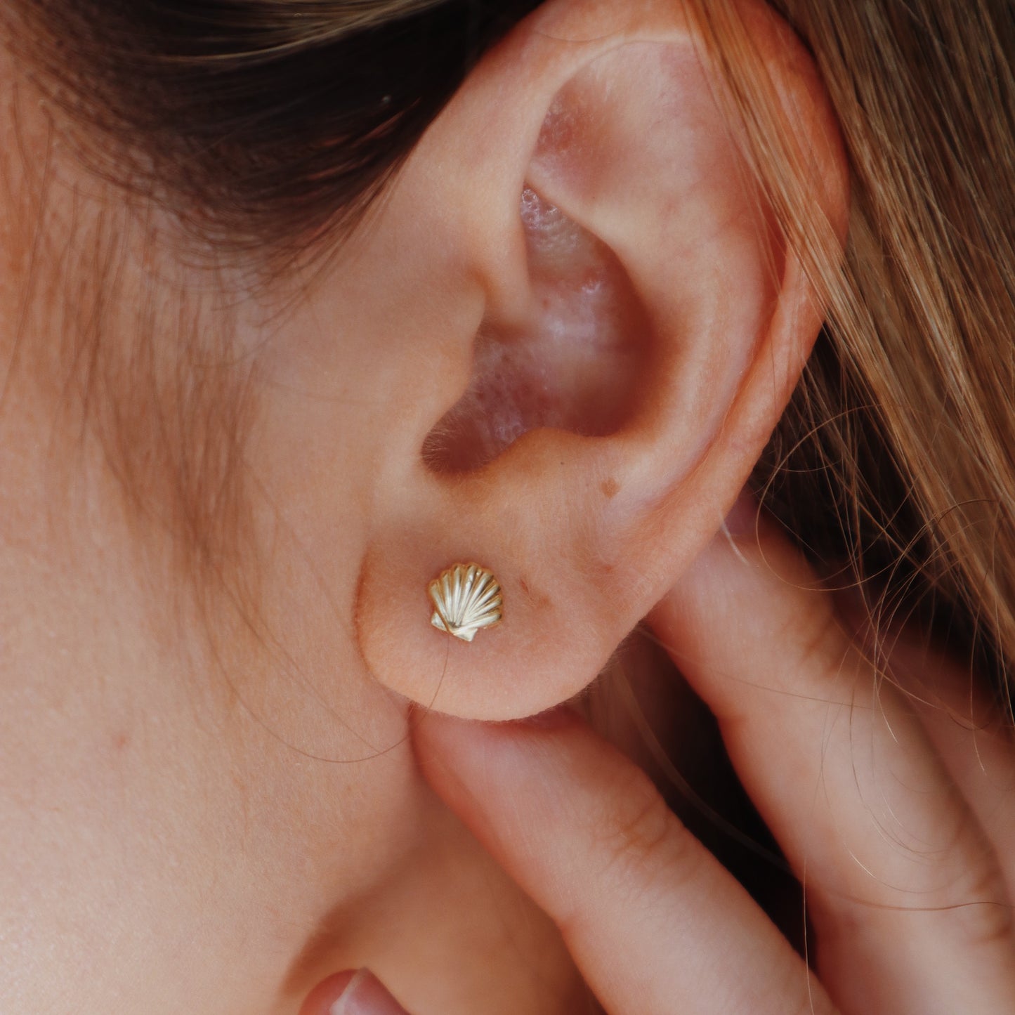 The Shell Stud