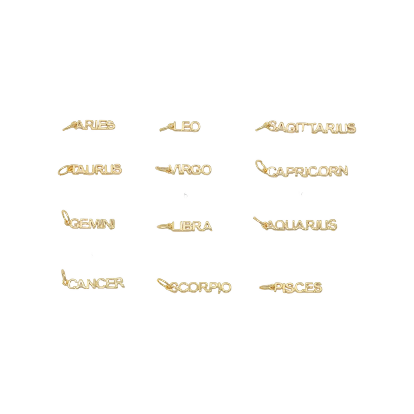Dainty Zodiac Charm