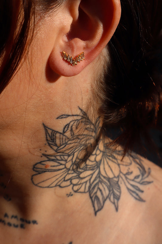 No Body, No Crime Stud